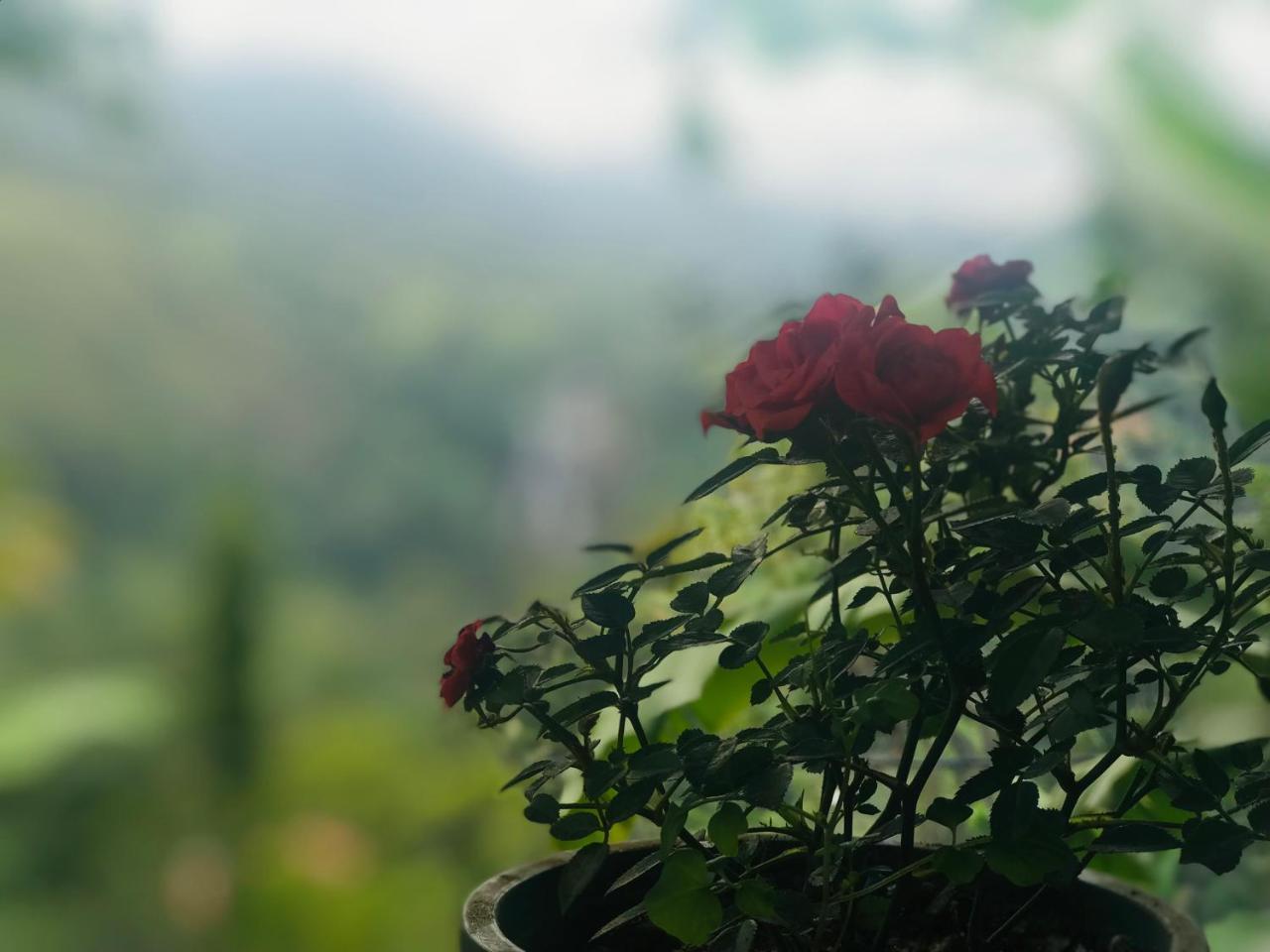 Hotel Wood Heart Ella Zewnętrze zdjęcie